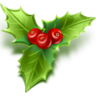 webberegulya
